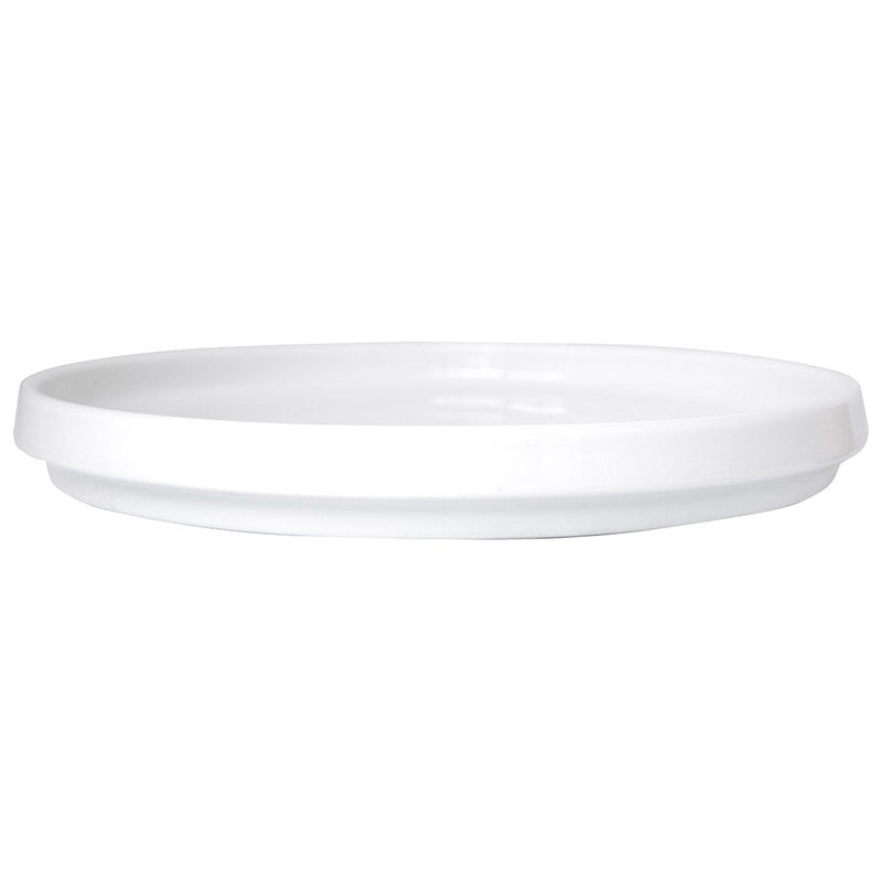 International Tableware TN-10 - Torino Walled Plate - 9-7/8" Diam. - European White